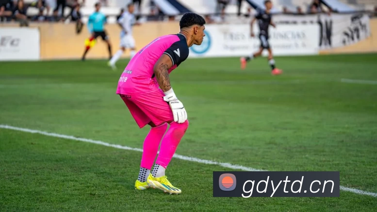 开云(中国)Kaiyun·官方网站 - 登录入口发展历程